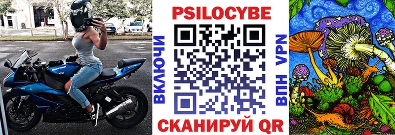 Галлюциногенные грибы Psilocybe  Купить  Котельнич 
